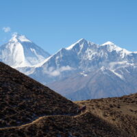 2411 AFDV Nepal Annapurna Naar et Phu-525