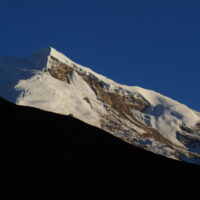 2411 AFDV Nepal Annapurna Naar et Phu-229