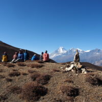 2411 AFDV Nepal Annapurna Naar et Phu-521